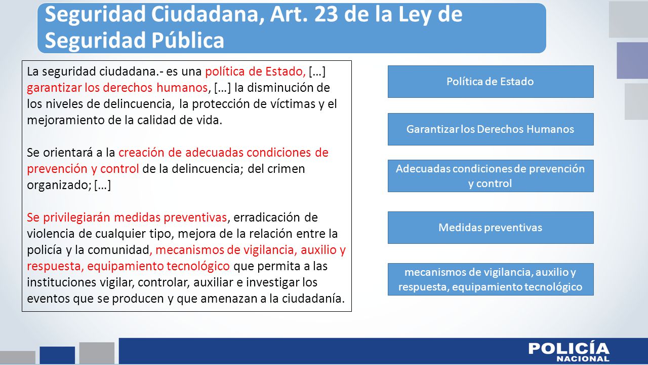 Seguridad Ciudadana, Art. 23 de la Ley de Seguridad Pública