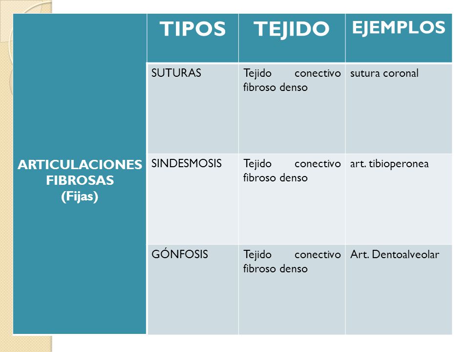 TIPOS TEJIDO EJEMPLOS ARTICULACIONES FIBROSAS (Fijas) SUTURAS