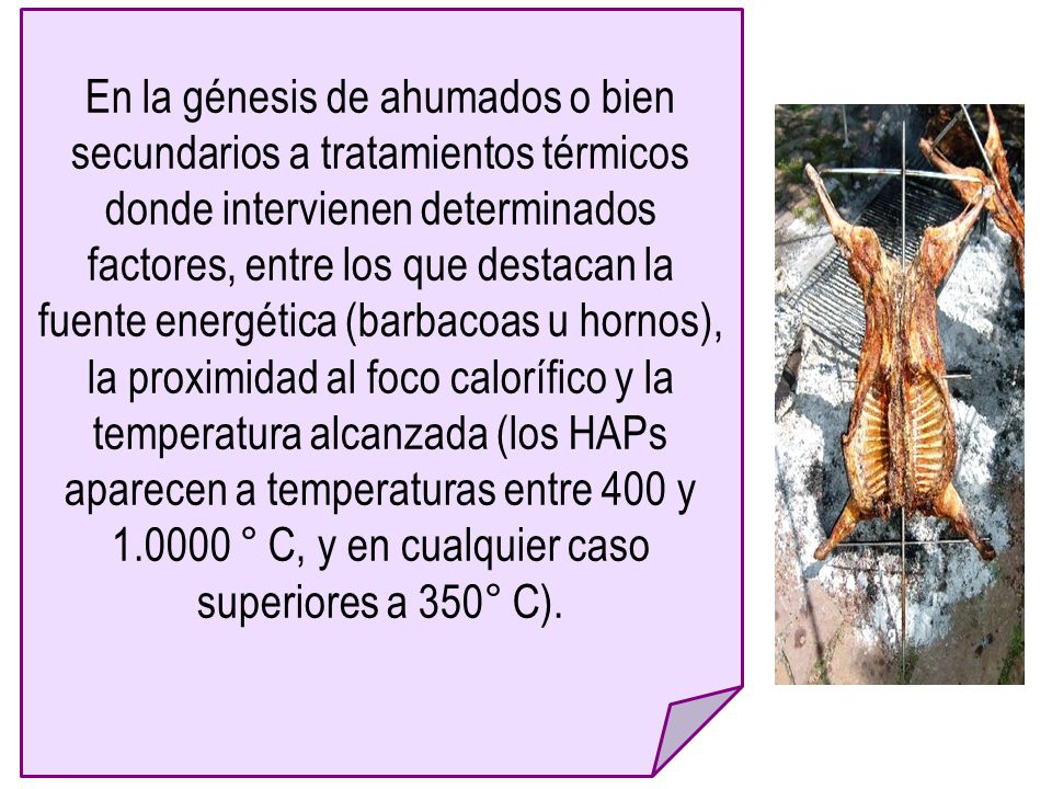En la génesis de ahumados o bien secundarios a tratamientos térmicos donde intervienen determinados factores, entre los que destacan la fuente energética (barbacoas u hornos), la proximidad al foco calorífico y la temperatura alcanzada (los HAPs aparecen a temperaturas entre 400 y ° C, y en cualquier caso superiores a 350° C).