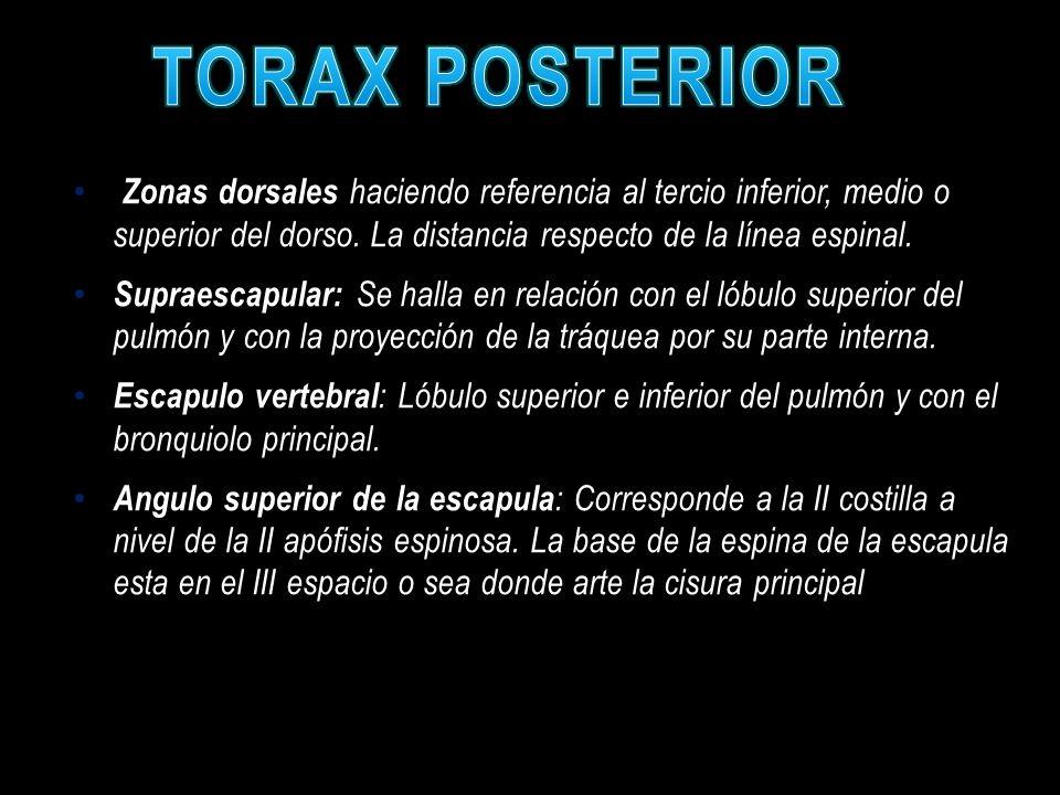 TORAX POSTERIOR Zonas dorsales haciendo referencia al tercio inferior, medio o superior del dorso. La distancia respecto de la línea espinal.