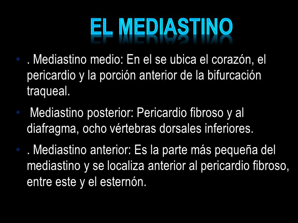 EL MEDIASTINO . Mediastino medio: En el se ubica el corazón, el pericardio y la porción anterior de la bifurcación traqueal.