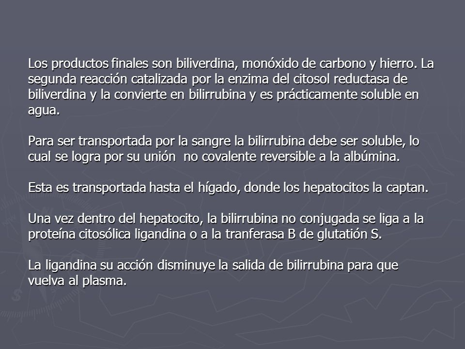 Los productos finales son biliverdina, monóxido de carbono y hierro