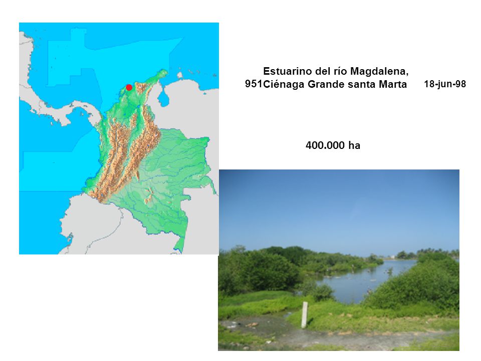 ha Estuarino del río Magdalena, Ciénaga Grande santa Marta 951