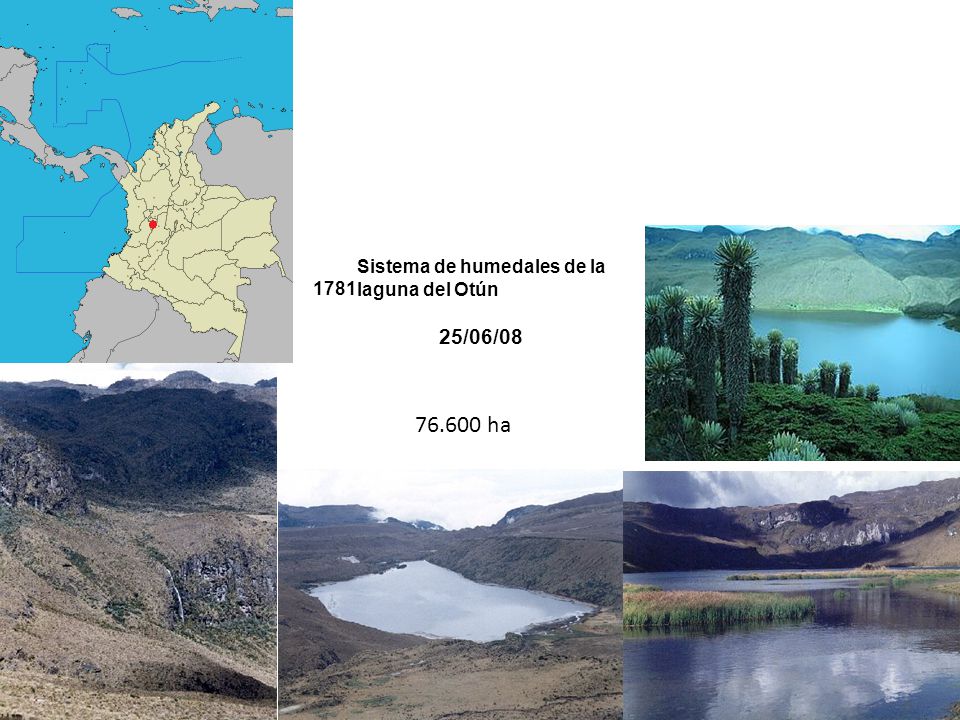 1781 Sistema de humedales de la laguna del Otún 25/06/ ha