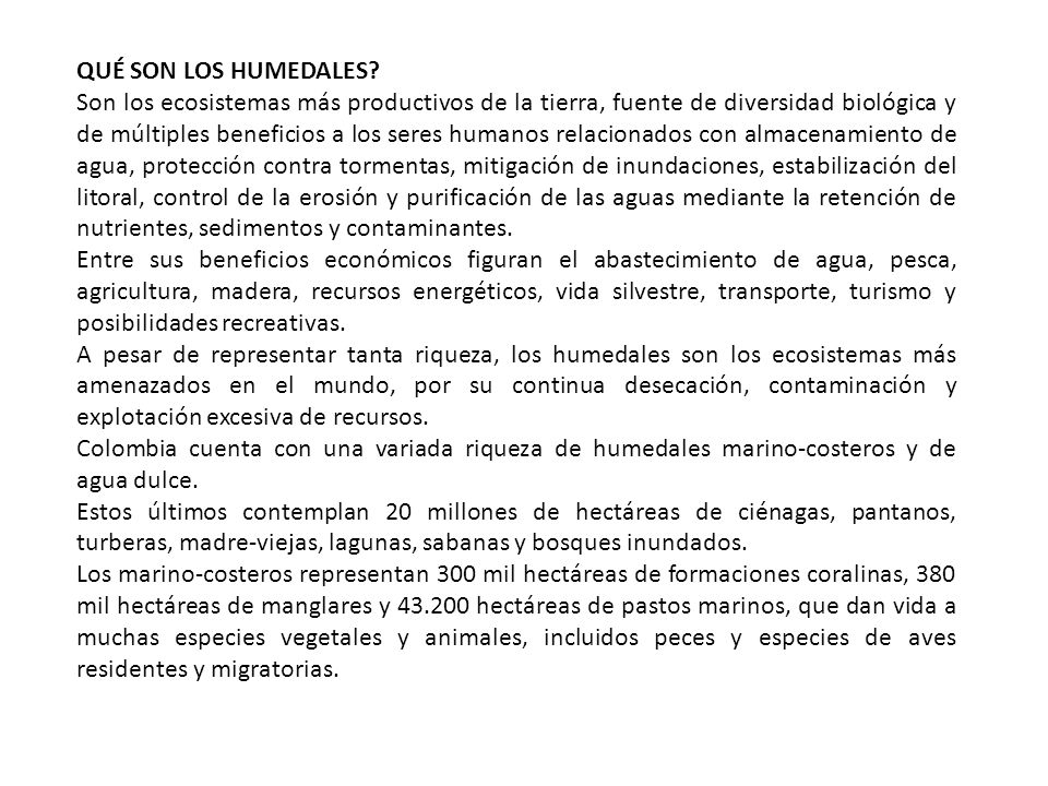 QUÉ SON LOS HUMEDALES