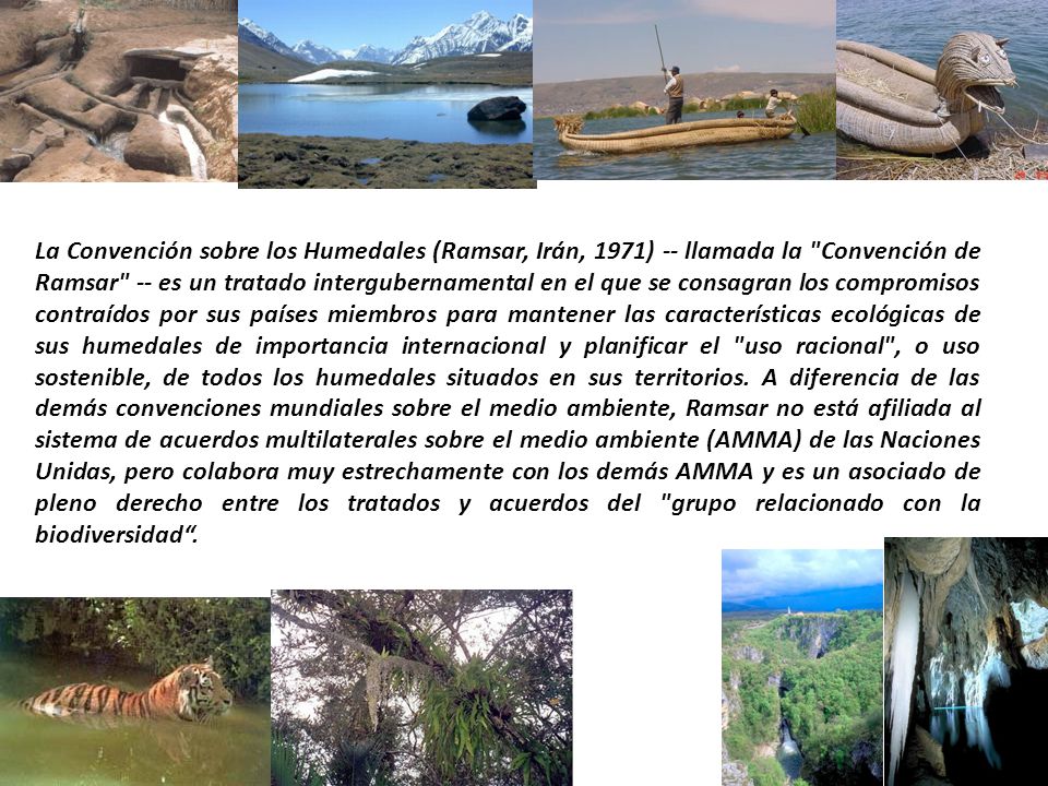 La Convención sobre los Humedales (Ramsar, Irán, 1971) -- llamada la Convención de Ramsar -- es un tratado intergubernamental en el que se consagran los compromisos contraídos por sus países miembros para mantener las características ecológicas de sus humedales de importancia internacional y planificar el uso racional , o uso sostenible, de todos los humedales situados en sus territorios.