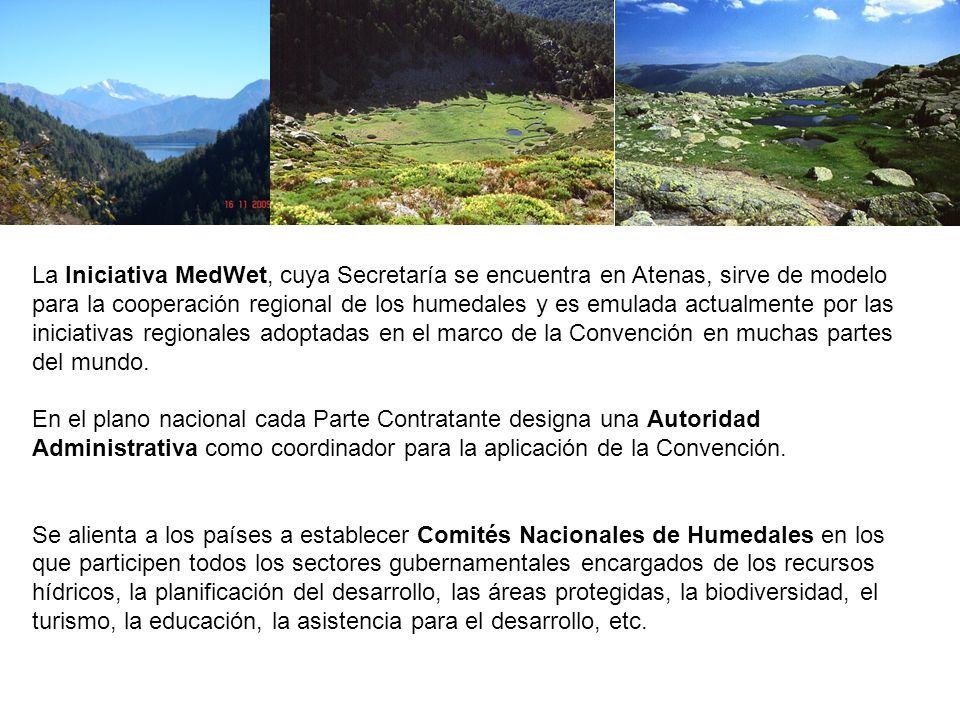 La Iniciativa MedWet, cuya Secretaría se encuentra en Atenas, sirve de modelo para la cooperación regional de los humedales y es emulada actualmente por las iniciativas regionales adoptadas en el marco de la Convención en muchas partes del mundo.