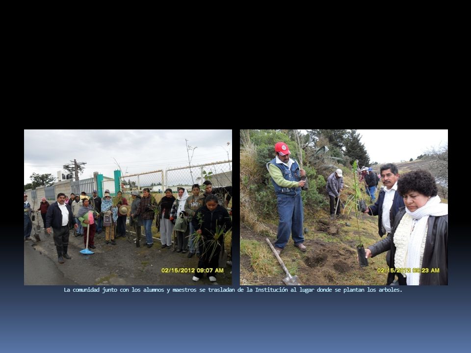 La comunidad junto con los alumnos y maestros se trasladan de la Institución al lugar donde se plantan los arboles.