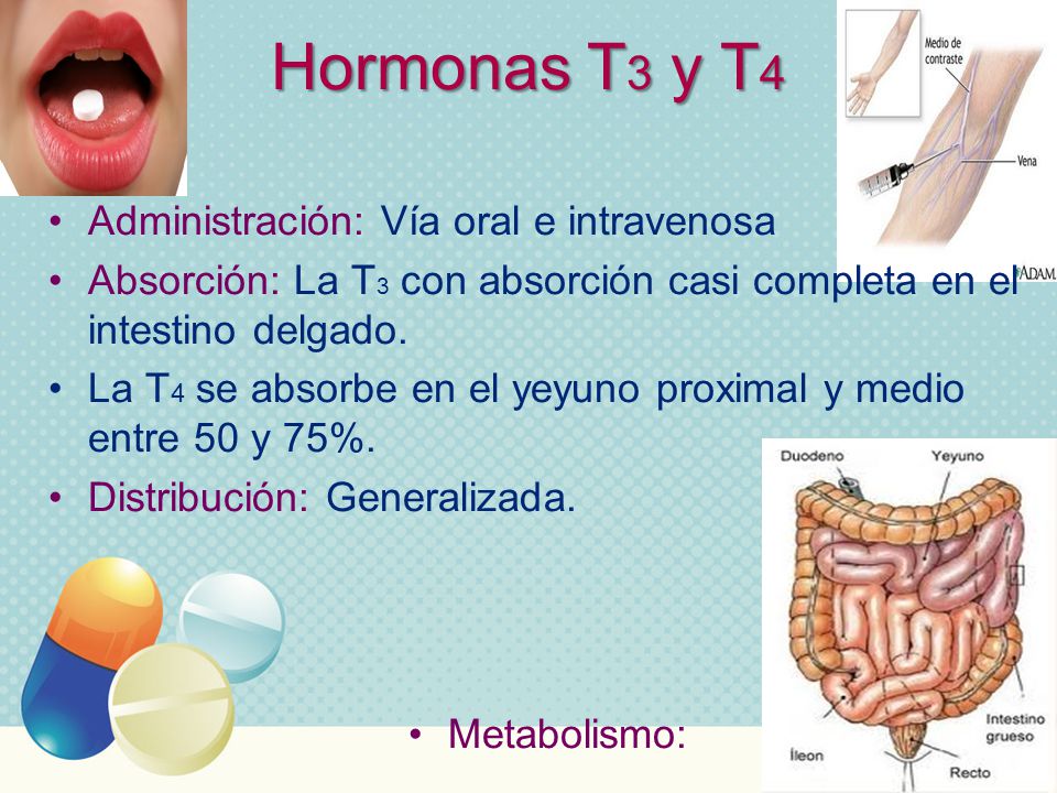 Hormonas T3 y T4 Administración: Vía oral e intravenosa