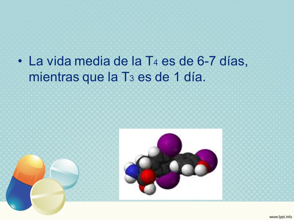La vida media de la T4 es de 6-7 días, mientras que la T3 es de 1 día.