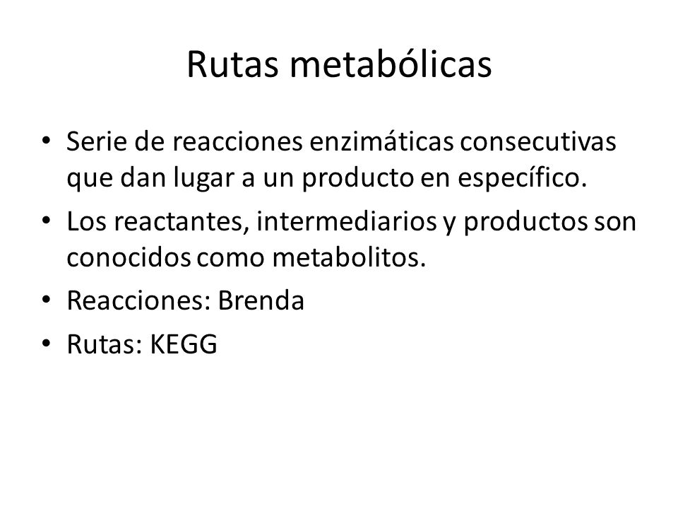 Rutas metabólicas Serie de reacciones enzimáticas consecutivas que dan lugar a un producto en específico.