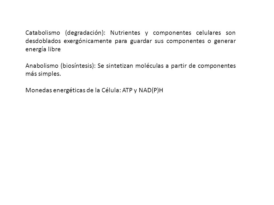 Catabolismo (degradación): Nutrientes y componentes celulares son desdoblados exergónicamente para guardar sus componentes o generar energía libre