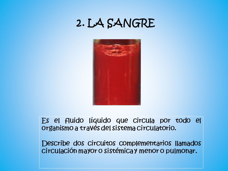 2. LA SANGRE Es el fluido líquido que circula por todo el organismo a través del sistema circulatorio.