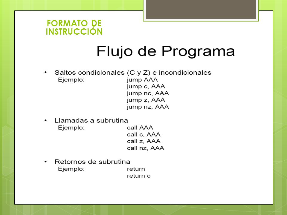 FORMATO DE INSTRUCCIÓN