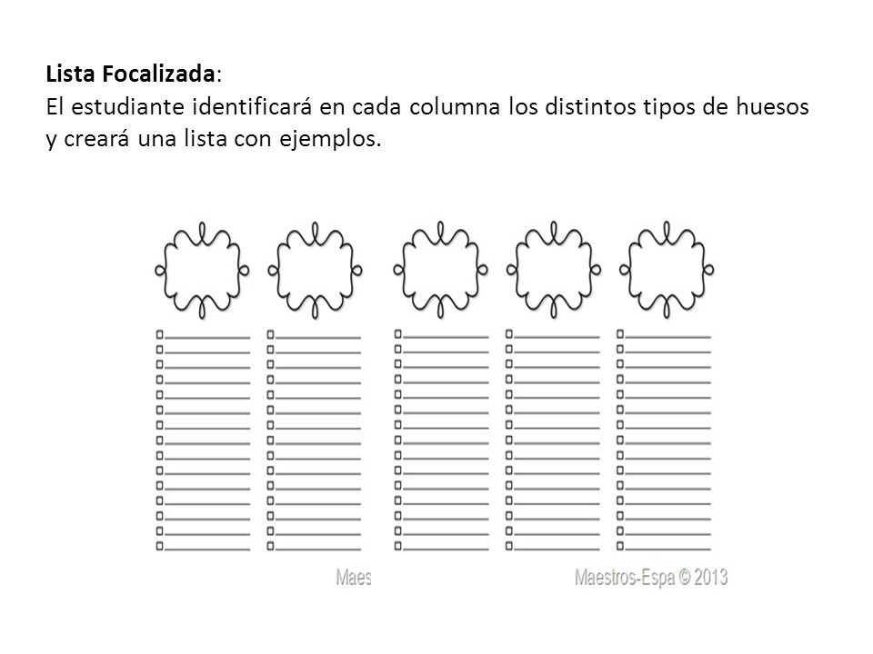 Lista Focalizada: El estudiante identificará en cada columna los distintos tipos de huesos y creará una lista con ejemplos.