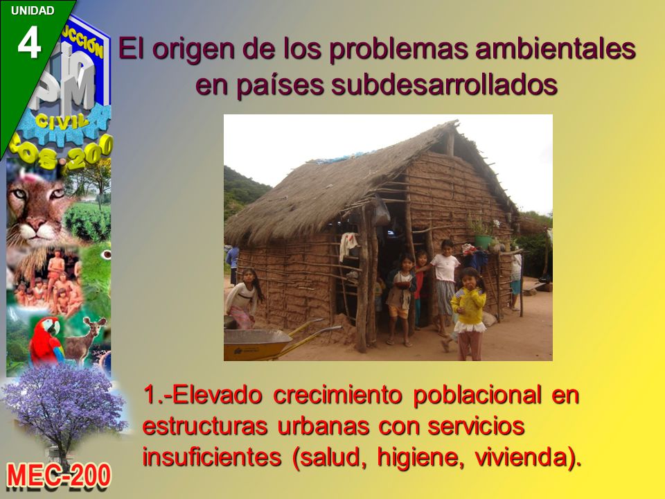 El origen de los problemas ambientales en países subdesarrollados