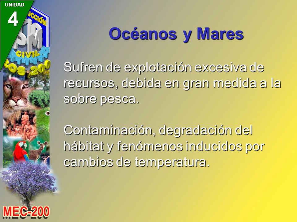 Océanos y Mares Sufren de explotación excesiva de recursos, debida en gran medida a la sobre pesca.