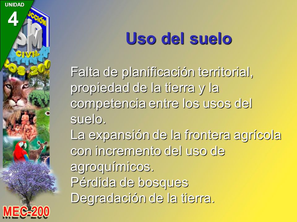 Uso del suelo Falta de planificación territorial, propiedad de la tierra y la competencia entre los usos del suelo.