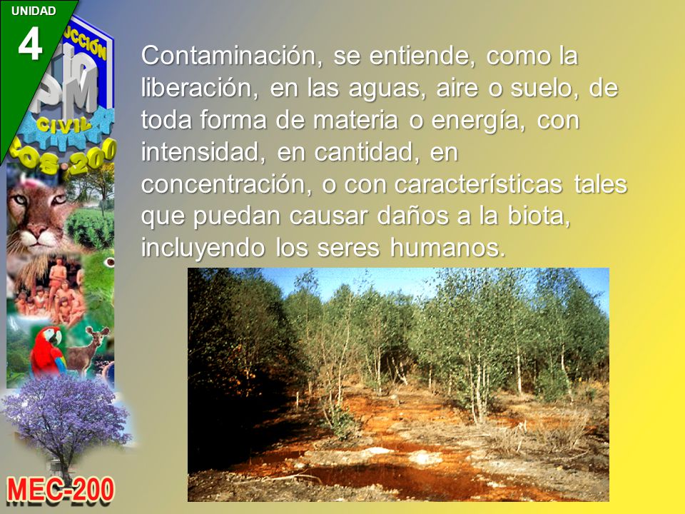 Contaminación, se entiende, como la liberación, en las aguas, aire o suelo, de toda forma de materia o energía, con intensidad, en cantidad, en concentración, o con características tales que puedan causar daños a la biota, incluyendo los seres humanos.