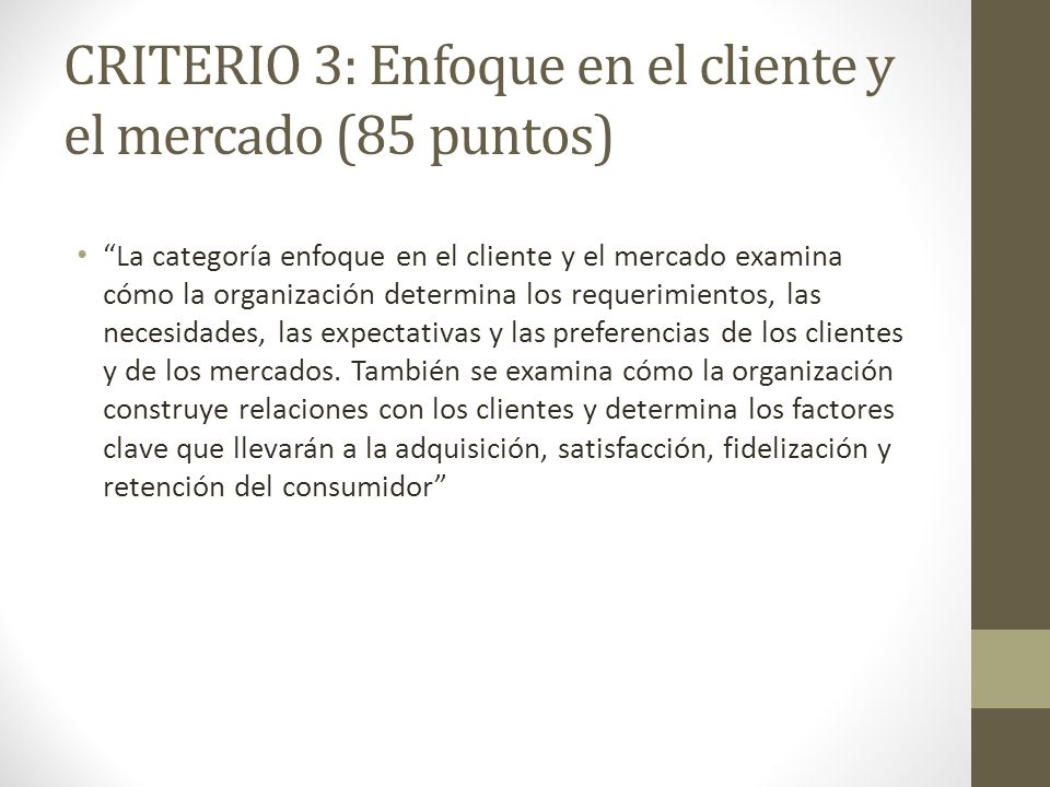 CRITERIO 3: Enfoque en el cliente y el mercado (85 puntos)