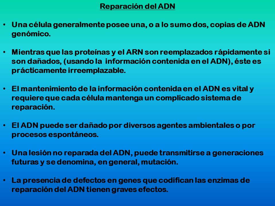Reparación del ADN Una célula generalmente posee una, o a lo sumo dos, copias de ADN genómico.