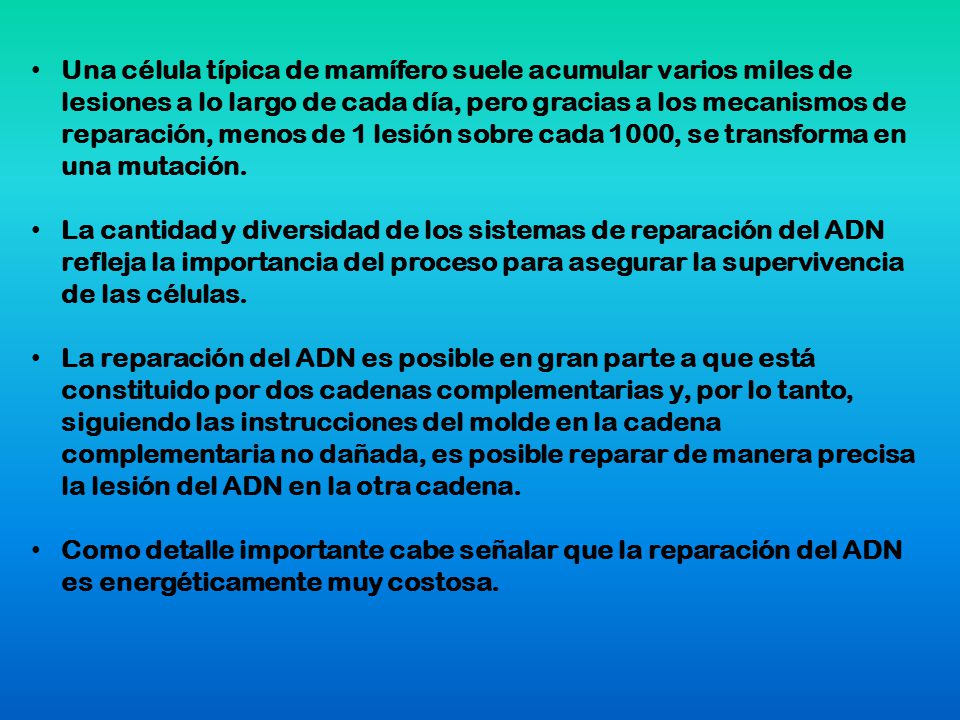 Una célula típica de mamífero suele acumular varios miles de lesiones a lo largo de cada día, pero gracias a los mecanismos de reparación, menos de 1 lesión sobre cada 1000, se transforma en una mutación.