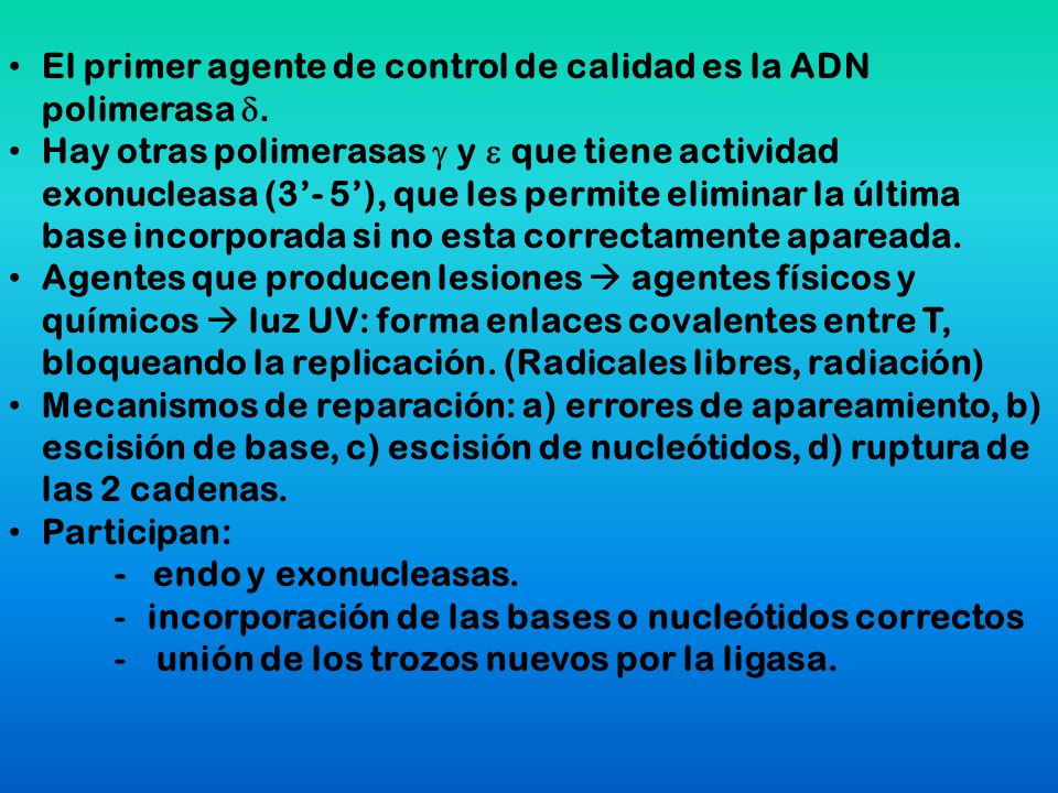 El primer agente de control de calidad es la ADN polimerasa d.