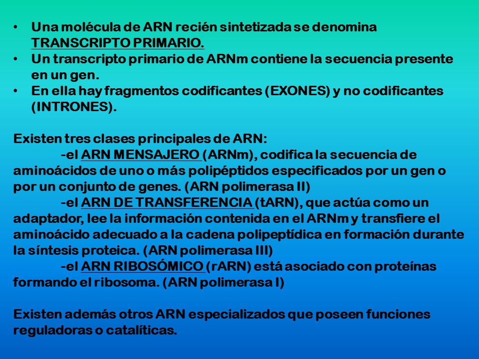 Una molécula de ARN recién sintetizada se denomina TRANSCRIPTO PRIMARIO.