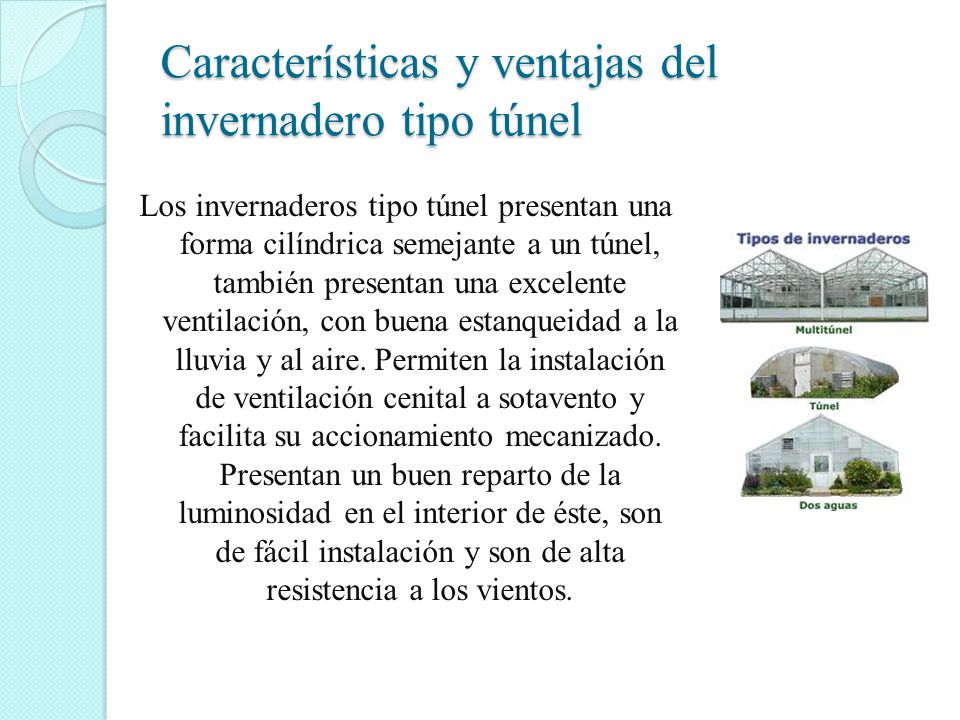 Características y ventajas del invernadero tipo túnel