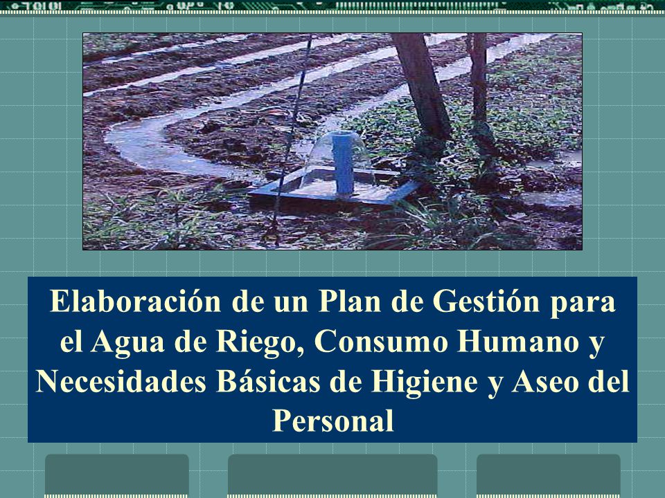 Elaboración de un Plan de Gestión para el Agua de Riego, Consumo Humano y Necesidades Básicas de Higiene y Aseo del Personal