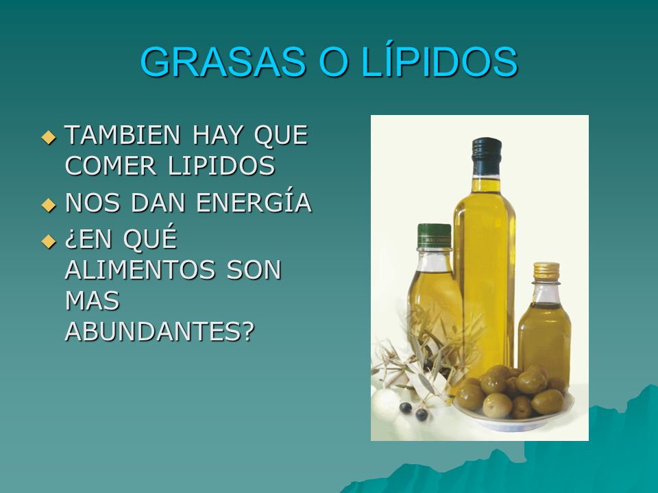 GRASAS O LÍPIDOS TAMBIEN HAY QUE COMER LIPIDOS NOS DAN ENERGÍA
