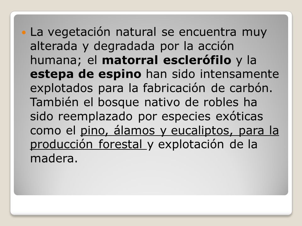 La vegetación natural se encuentra muy alterada y degradada por la acción humana; el matorral esclerófilo y la estepa de espino han sido intensamente explotados para la fabricación de carbón.