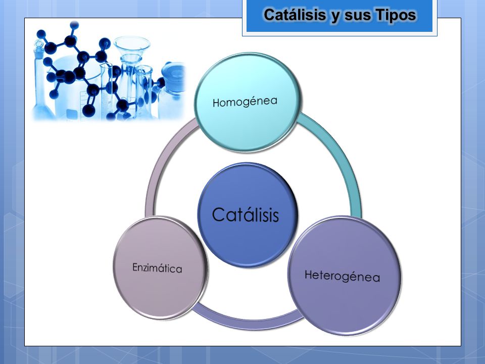 Catálisis y sus Tipos Catálisis Homogénea Heterogénea Enzimática