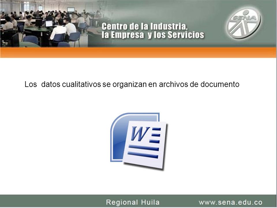 Los datos cualitativos se organizan en archivos de documento