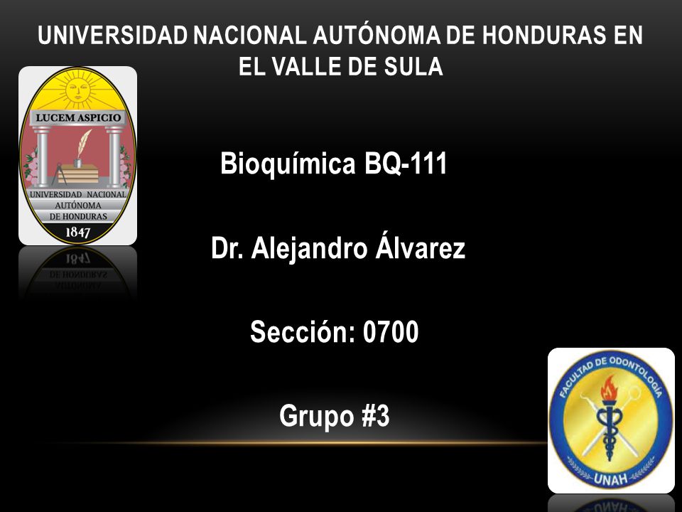 Universidad Nacional Autónoma De Honduras en el Valle De Sula