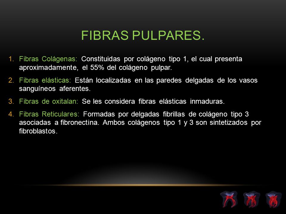 Fibras pulpares. Fibras Colágenas: Constituidas por colágeno tipo 1, el cual presenta aproximadamente, el 55% del colágeno pulpar.