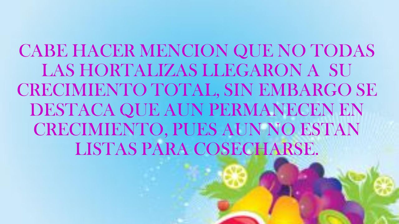 CABE HACER MENCION QUE NO TODAS LAS HORTALIZAS LLEGARON A SU CRECIMIENTO TOTAL, SIN EMBARGO SE DESTACA QUE AUN PERMANECEN EN CRECIMIENTO, PUES AUN NO ESTAN LISTAS PARA COSECHARSE.
