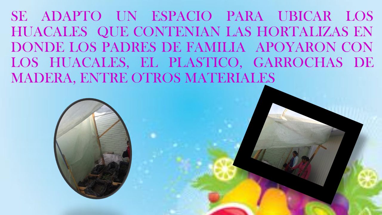 SE ADAPTO UN ESPACIO PARA UBICAR LOS HUACALES QUE CONTENIAN LAS HORTALIZAS EN DONDE LOS PADRES DE FAMILIA APOYARON CON LOS HUACALES, EL PLASTICO, GARROCHAS DE MADERA, ENTRE OTROS MATERIALES