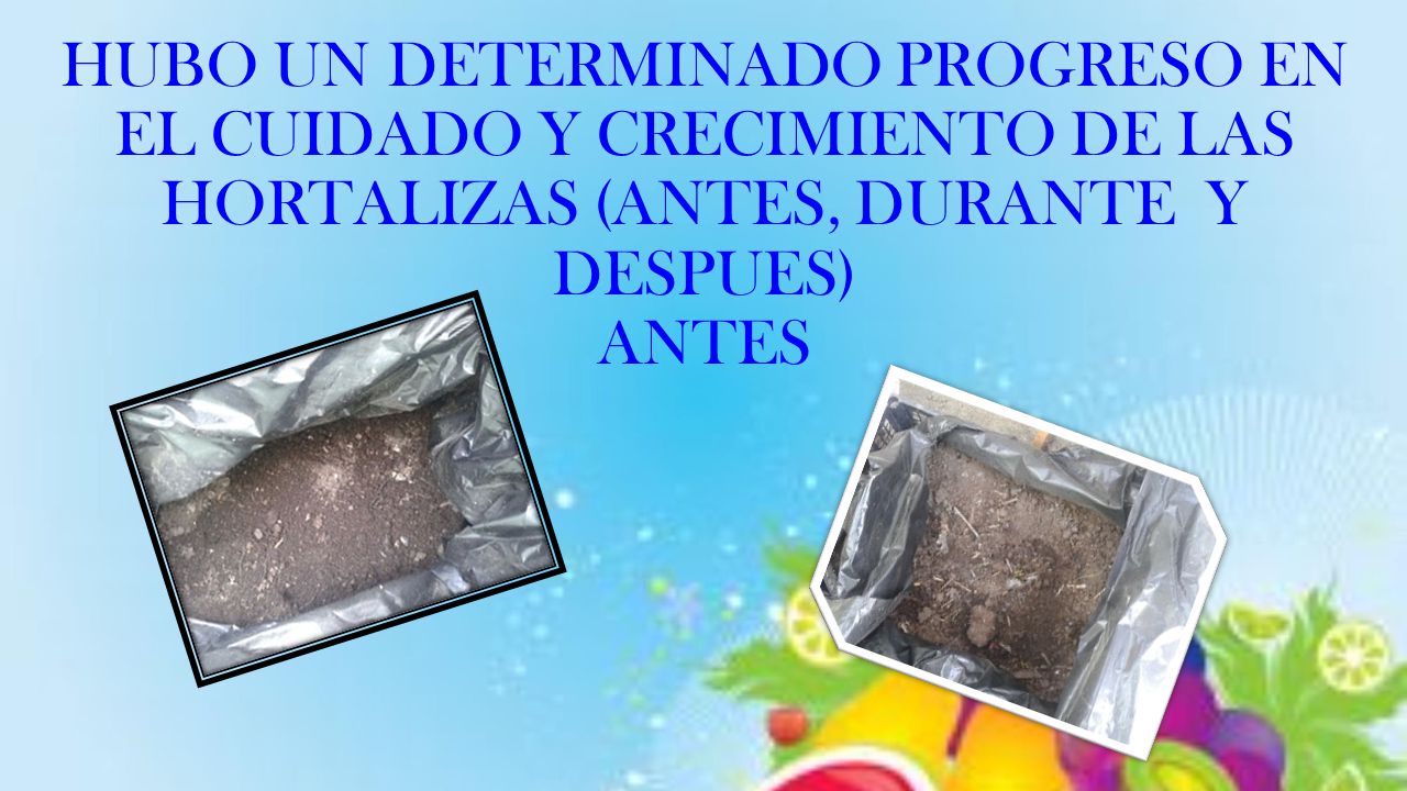 HUBO UN DETERMINADO PROGRESO EN EL CUIDADO Y CRECIMIENTO DE LAS HORTALIZAS (ANTES, DURANTE Y DESPUES) ANTES