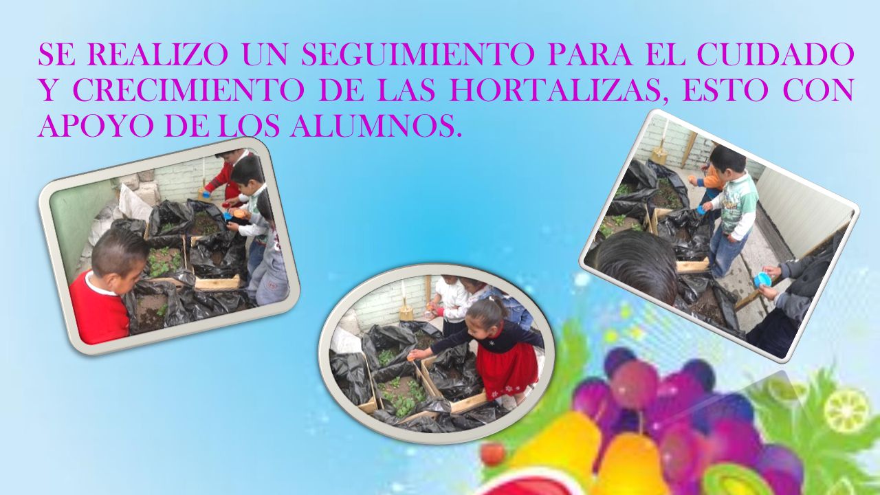 SE REALIZO UN SEGUIMIENTO PARA EL CUIDADO Y CRECIMIENTO DE LAS HORTALIZAS, ESTO CON APOYO DE LOS ALUMNOS.