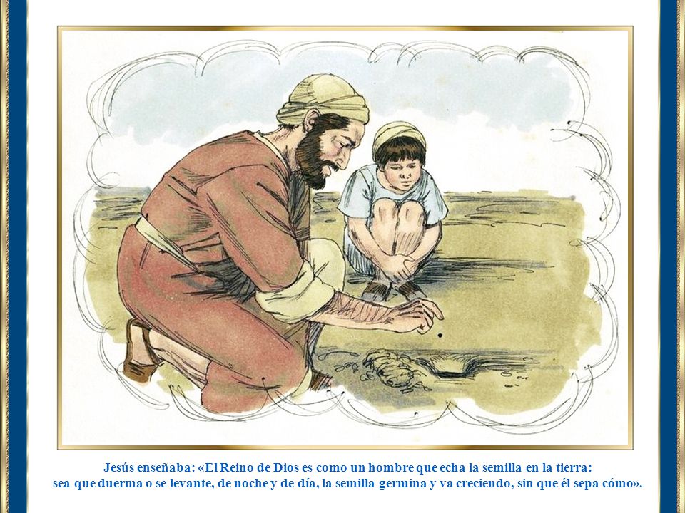 Jesús enseñaba: «El Reino de Dios es como un hombre que echa la semilla en la tierra:
