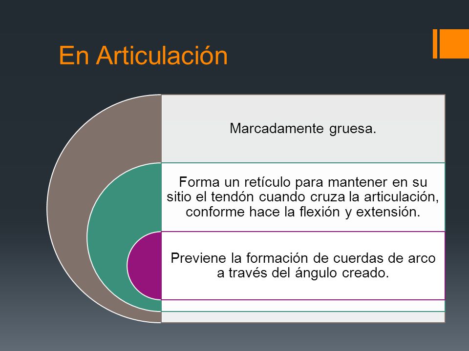 Previene la formación de cuerdas de arco a través del ángulo creado.