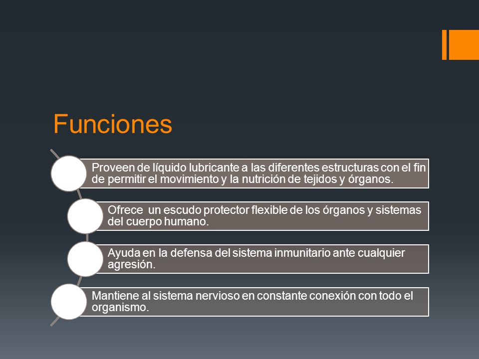 Funciones Proveen de líquido lubricante a las diferentes estructuras con el fin de permitir el movimiento y la nutrición de tejidos y órganos.