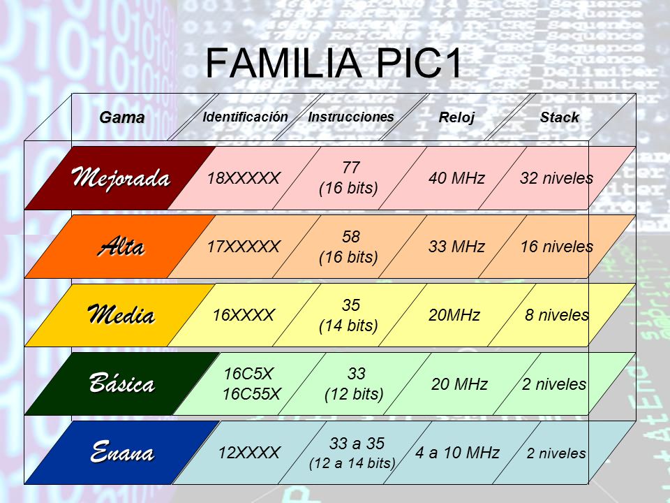FAMILIA PIC1 Mejorada Alta Media Básica Enana Gama 18XXXXX 77