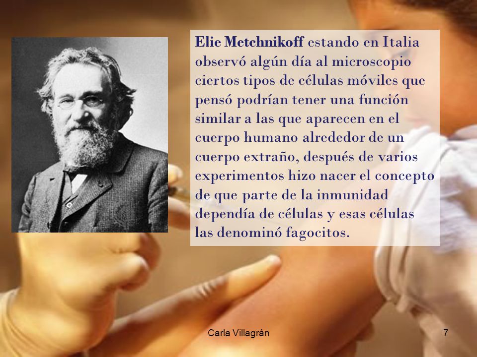 Elie Metchnikoff estando en Italia observó algún día al microscopio ciertos tipos de células móviles que pensó podrían tener una función similar a las que aparecen en el cuerpo humano alrededor de un cuerpo extraño, después de varios experimentos hizo nacer el concepto de que parte de la inmunidad dependía de células y esas células las denominó fagocitos.