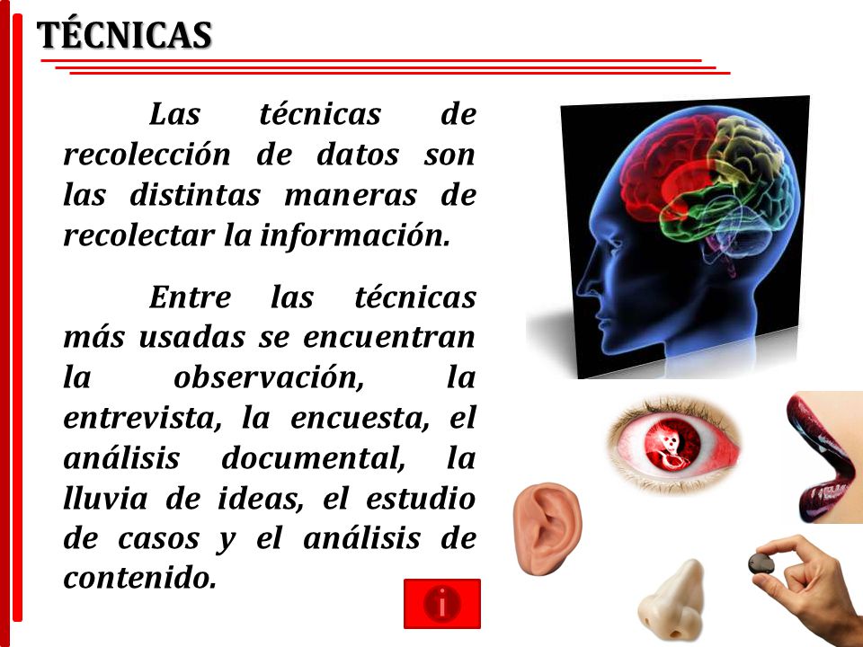 TÉCNICAS Las técnicas de recolección de datos son las distintas maneras de recolectar la información.