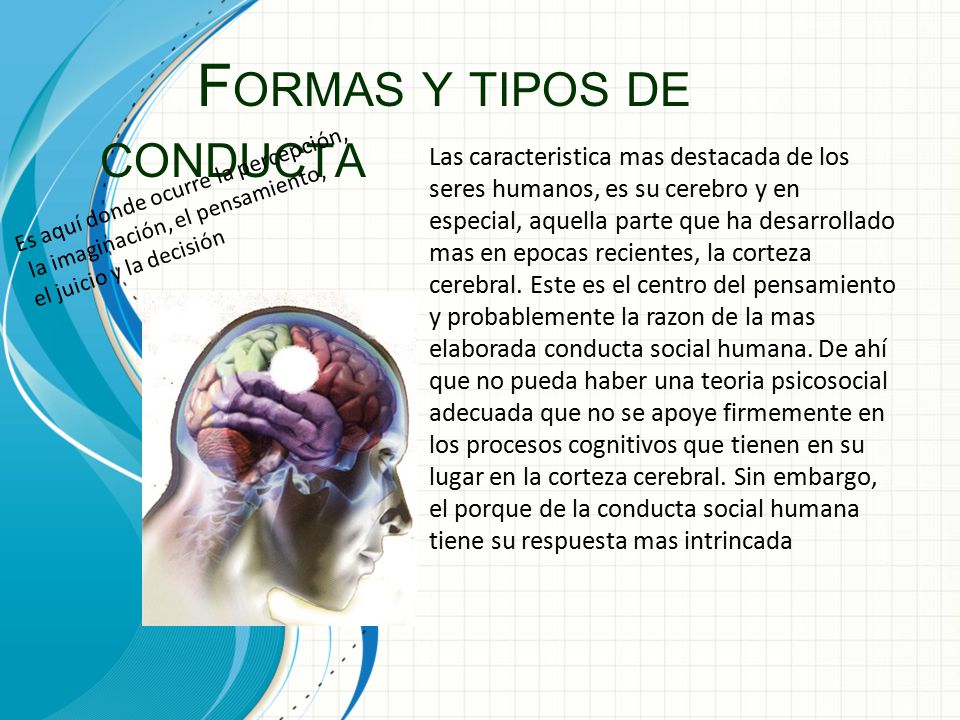 Formas y tipos de conducta