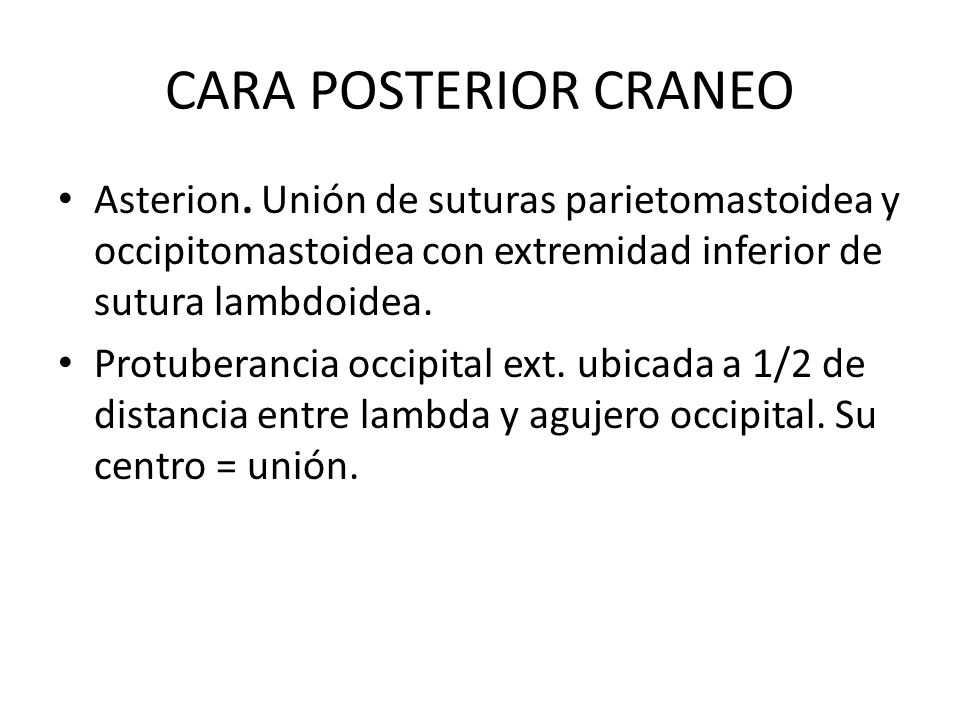 CARA POSTERIOR CRANEO Asterion. Unión de suturas parietomastoidea y occipitomastoidea con extremidad inferior de sutura lambdoidea.