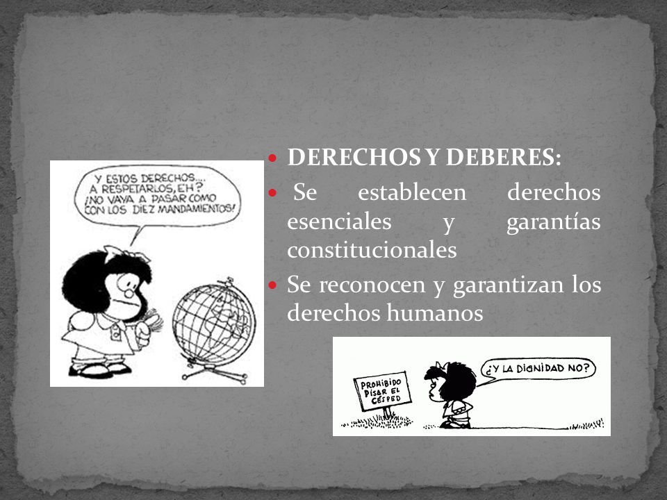 DERECHOS Y DEBERES: Se establecen derechos esenciales y garantías constitucionales.