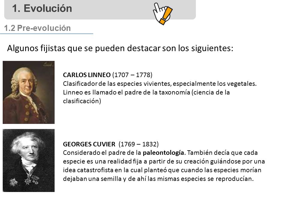 1. Evolución 1.2 Pre-evolución. Algunos fijistas que se pueden destacar son los siguientes: CARLOS LINNEO (1707 – 1778)